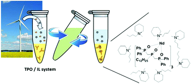 Graphical abstract: Performances and mechanistic investigations of a triphosphine trioxide/ionic liquid system for rare earth extraction