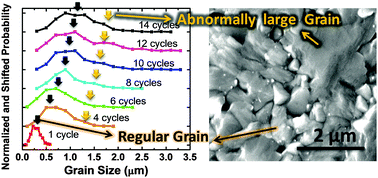Graphical abstract: Abnormal crystal growth in CH3NH3PbI3−xClx using a multi-cycle solution coating process