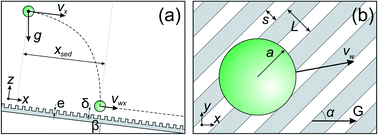 Graphical abstract: Principles of transverse flow fractionation of microparticles in superhydrophobic channels