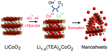 Graphical abstract: Oxidation–reduction assisted exfoliation of LiCoO2 into nanosheets and reassembly into functional Li-ion battery cathodes