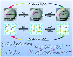 Graphical abstract: A multi-responsive hydrogel with a triple shape memory effect based on reversible switches