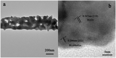 Graphical abstract: Fabrication of one-dimensional Bi2O3–Bi14MoO24 heterojunction photocatalysts with high interface quality