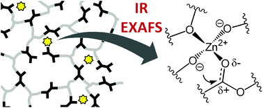 Graphical abstract: Coordination and catalysis of Zn2+ in epoxy-based vitrimers