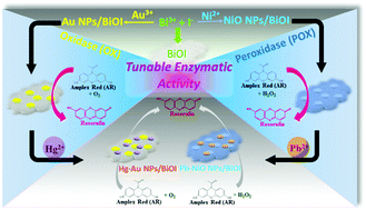 Graphical abstract: Metal-deposited bismuth oxyiodide nanonetworks with tunable enzyme-like activity: sensing of mercury and lead ions