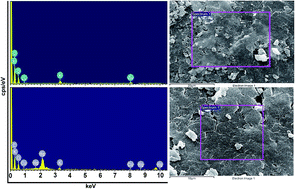 Graphical abstract: Modeling and optimization of Hg2+ ion biosorption by live yeast Yarrowia lipolytica 70562 from aqueous solutions under artificial neural network-genetic algorithm and response surface methodology: kinetic and equilibrium study