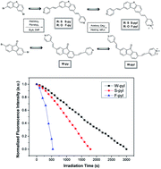 Graphical abstract: Novel mono-cationic fluorescent probes based on different central π-conjugated bridges for two-photon bioimaging of cellular nuclei
