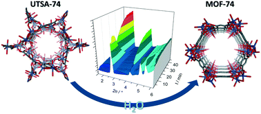 Graphical abstract: An in situ investigation of the water-induced phase transformation of UTSA-74 to MOF-74(Zn)