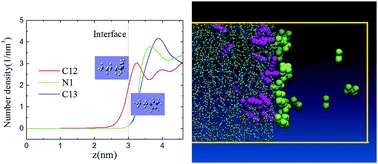 Graphical abstract: Exploration of bulk and interface behavior of gas molecules and 1-butyl-3-methylimidazolium tetrafluoroborate ionic liquid using equilibrium and nonequilibrium molecular dynamics simulation and quantum chemical calculation