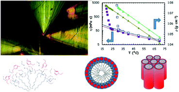 Graphical abstract: Mesostructure and physical properties of aqueous mixtures of the ionic liquid 1-ethyl-3-methyl imidazolium octyl sulfate doped with divalent sulfate salts in the liquid and the mesomorphic states
