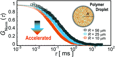Graphical abstract: Cell-size confinement effect on protein diffusion in crowded poly(ethylene)glycol solution