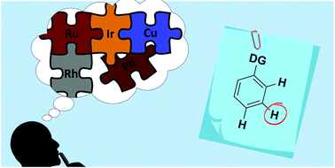 Graphical abstract: Access to the meta position of arenes through transition metal catalysed C–H bond functionalisation: a focus on metals other than palladium