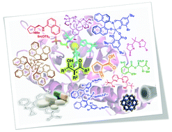 Graphical abstract: Catalytic enantioselective aldol reactions