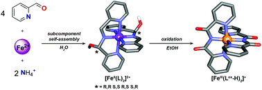 Graphical abstract: Generation and transformation of a hemi-iminal-based metal–organic Fe(ii) structure obtained via subcomponent self-assembly in water
