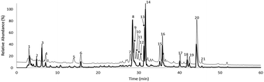 Graphical abstract: Antioxidant and anti-inflammatory activities of Geranium robertianum L. decoctions