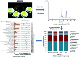 Graphical abstract: A metagenomics approach to the intestinal microbiome structure and function in high fat diet-induced obesity mice fed with oolong tea polyphenols