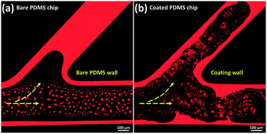 Graphical abstract: Geo-material surface modification of microchips using layer-by-layer (LbL) assembly for subsurface energy and environmental applications