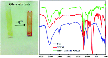 Graphical abstract: Design and construction of a new optical solid-state mercury(ii) sensor based on PVC membrane sensitized with colloidal carbon dots