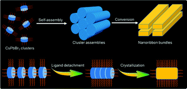 Graphical abstract: Synthesis of ultrasmall CsPbBr3 nanoclusters and their transformation to highly deep-blue-emitting nanoribbons at room temperature