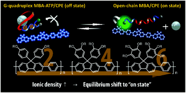 Graphical abstract: Control of electrostatic interaction between a molecular beacon aptamer and conjugated polyelectrolyte for detection range-tunable ATP assay