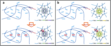 Graphical abstract: Self-healable, tough and highly stretchable hydrophobic association/ionic dual physically cross-linked hydrogels