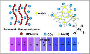 Graphical abstract: Colloidal quantum dot chains: self-assembly mechanism and ratiometric fluorescent sensing