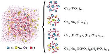 Graphical abstract: Detection of Posner's clusters during calcium phosphate nucleation: a molecular dynamics study