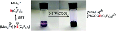 Graphical abstract: Homolytic cleavage of peroxide bonds via a single electron transfer of a frustrated Lewis pair