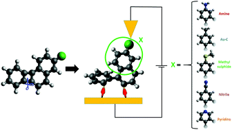 Graphical abstract: Direct Au–C contacts based on biphenylene for single molecule circuits