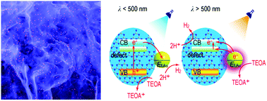 Graphical abstract: Understanding the roles of plasmonic Au nanocrystal size, shape, aspect ratio and loading amount in Au/g-C3N4 hybrid nanostructures for photocatalytic hydrogen generation