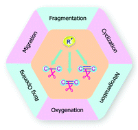 Graphical abstract: Cleavage of carbon–carbon bonds by radical reactions