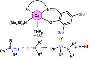 Graphical abstract: Amido Ca(ii) complexes supported by Schiff base ligands for catalytic cross-dehydrogenative coupling of amines with silanes