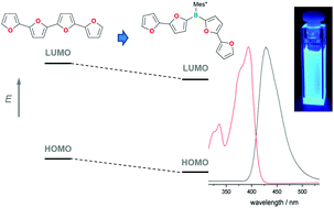 Graphical abstract: Difuryl(supermesityl)borane: a versatile building block for extended π-conjugated materials