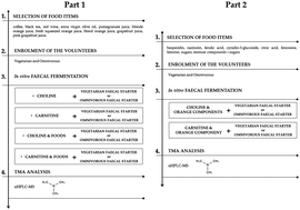 Graphical abstract: An in vitro exploratory study of dietary strategies based on polyphenol-rich beverages, fruit juices and oils to control trimethylamine production in the colon