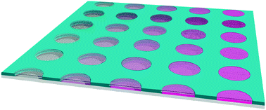 Graphical abstract: High-throughput single-molecule bioassay using micro-reactor arrays with a concentration gradient of target molecules