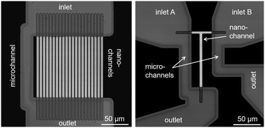 Graphical abstract: High-throughput, non-equilibrium studies of single biomolecules using glass-made nanofluidic devices