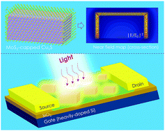 Graphical abstract: MoS2-capped CuxS nanocrystals: a new heterostructured geometry of transition metal dichalcogenides for broadband optoelectronics