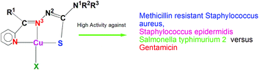 Graphical abstract: Synthesis, structures, antimicrobial activity and biosafety evaluation of pyridine-2-formaldehyde-N-susbtituted-thiosemicarbazonates of copper(ii)