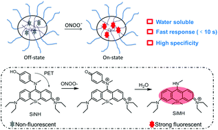 Graphical abstract: A fast-response and highly specific Si-Rhodamine probe for endogenous peroxynitrite detection in living cells