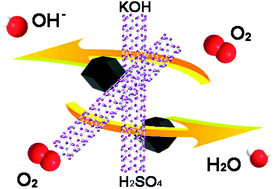 Graphical abstract: A facile synthesis of porous N-doped carbon with hybridization of Fe3C nanoparticle-encased CNTs for an advanced oxygen reduction reaction electrocatalyst