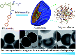 Graphical abstract: Nanobowls with controlled openings and interior holes driven by the synergy of hydrogen bonding and π–π interaction