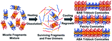 Graphical abstract: Synergistic self-seeding in one-dimension: a route to patchy and block comicelles with uniform and controllable length