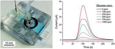 Graphical abstract: On-chip electrochemical detection of glucose towards the miniaturised quality control of carbohydrate-based radiotracers