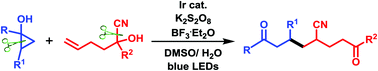 Graphical abstract: Visible-light-induced consecutive C–C bond fragmentation and formation for the synthesis of elusive unsymmetric 1,8-dicarbonyl compounds