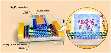 Graphical abstract: Sulfur vacancy-rich N-doped MoS2 nanoflowers for highly boosting electrocatalytic N2 fixation to NH3 under ambient conditions