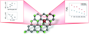 Graphical abstract: Tuning the magnetic properties of graphene derivatives by functional group selection