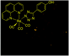 Graphical abstract: Photophysical and biological investigation of phenol substituted rhenium tetrazolato complexes