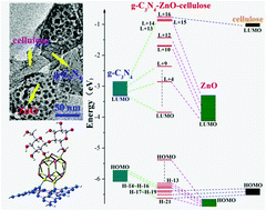 Graphical abstract: Construction of heterostructured g-C3N4/ZnO/cellulose and its antibacterial activity: experimental and theoretical investigations