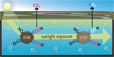 Graphical abstract: Assessing the prevalence, products, and pathways of dissolved organic matter partial photo-oxidation in arctic surface waters