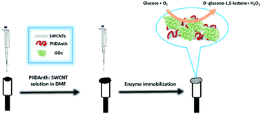 Graphical abstract: A newly designed anthracene and isoindigo based polymer: synthesis, electrochemical characterization and biosensor applications