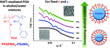 Graphical abstract: Investigating the influence of solvent quality on RAFT-mediated PISA of sulfonate-functional diblock copolymer nanoparticles